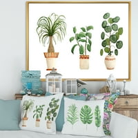 Dizajnerska umjetnost Trio sobnih biljaka-Ficus, rep i Palma tradicionalni uokvireni zidni otisak na platnu