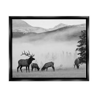 Fotografija jelena na ispaši u maglovitom ruralnom području M. A.-A, crno-bijeli ispis na platnu u plutajućem