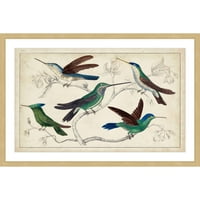 Marmont Hill Hummingbirds uokviren slikarski tisak