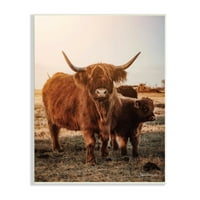 Stupell Industries Longhorn Highland goveda krava Topla Zora jutarnja fotografija bez okvira umjetnički tisak