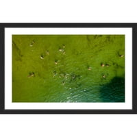 MARMONT HILL Zelena voda od Karolis Janulis uokvireni slikarski umjetnički tisak, 45.0 1.5