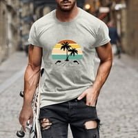 Majice majice za muškarce casual okrugli vrat 3D digitalni ispis pulover fitness kratke hlače rukavi majica bluza