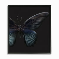 Apstraktna krila leptira fotografija životinje uokvirena zidna umjetnost iz