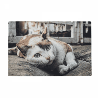 Životinja šarena fotografija Mačka podna prostirka Protuklizna prostirka za vrata kupaonice tepih